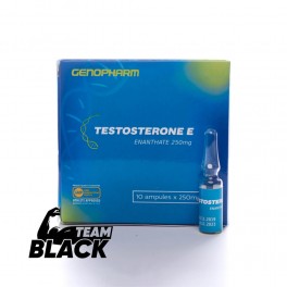 Тестостерон Енантат Genopharm Testosterone E 250 мг/мл