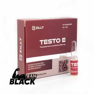Тестостерон Энантат Zillt Medicine Testo E 250 мг/мл