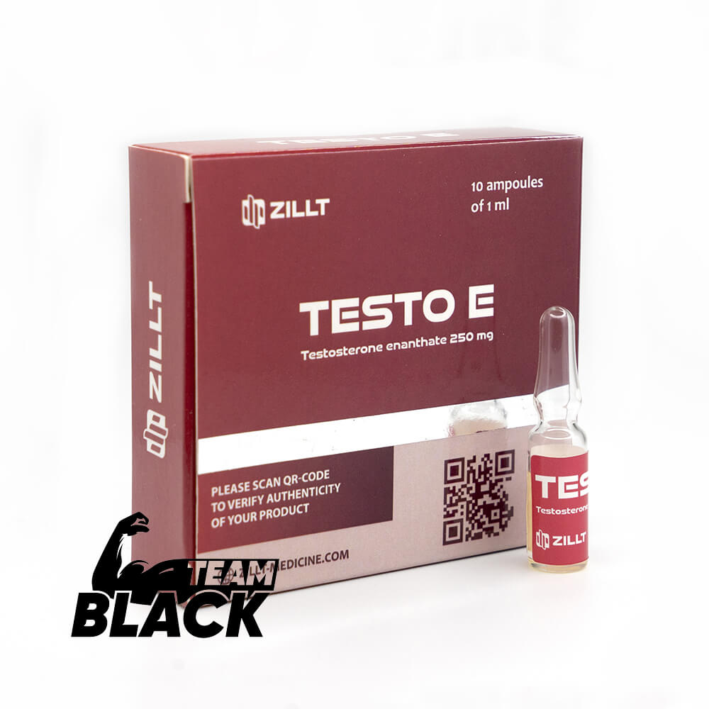 Тестостерон Энантат Zillt Medicine Testo E 250 мг/мл | BlackTeam